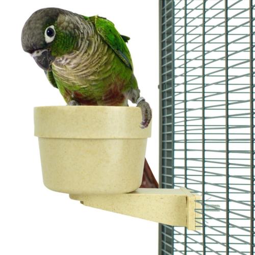 Miseczka bambusowa - blokowana- dla wszystkich papug od ParrotPlanet.pl