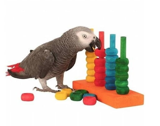 Sztuczka Magiczna - zabawka logiczna dla papug od ParrotPlanet.pl