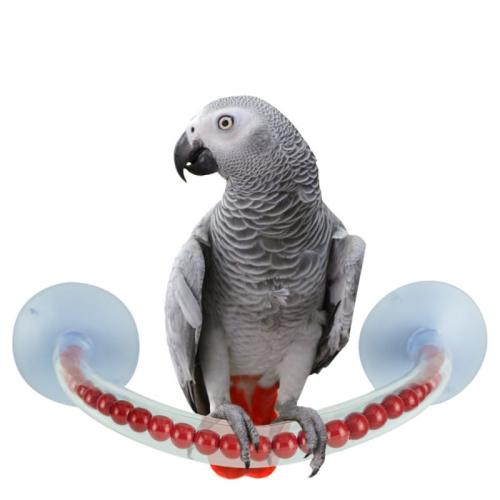 Żerdź pod prysznic L - dla średnich i dużych papug od ParrotPlanet.pl