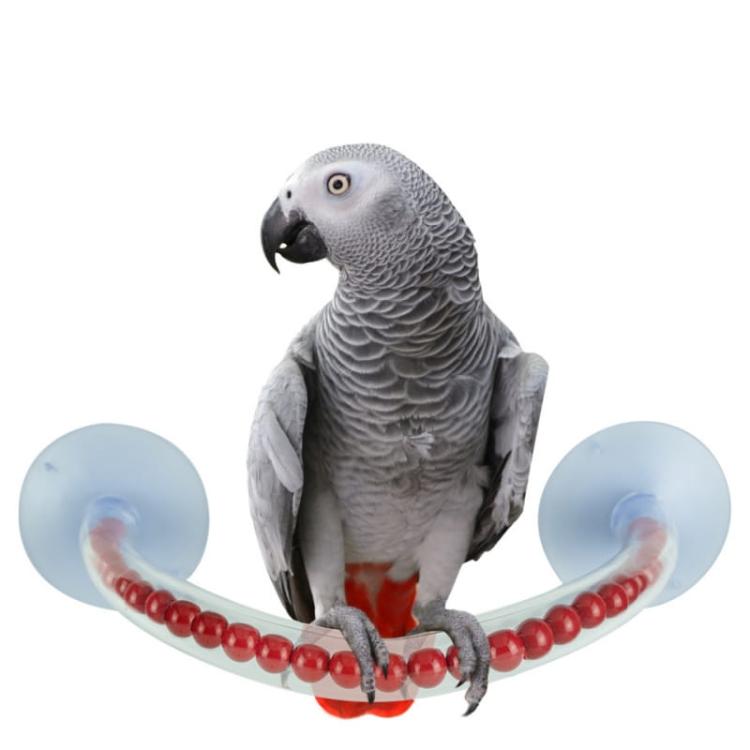 Żerdź pod prysznic L - dla średnich i dużych papug od ParrotPlanet.pl