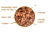 claus jeż 2.png