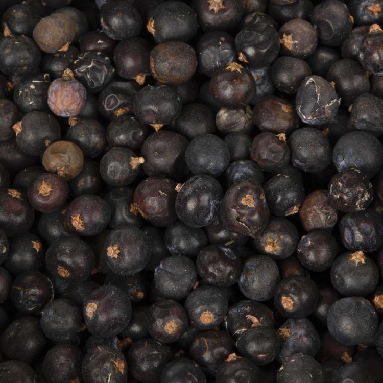 Wagner's Chrupiące jagody jałowca dla wszystkich papug 150g od ParrotPlanet.pl