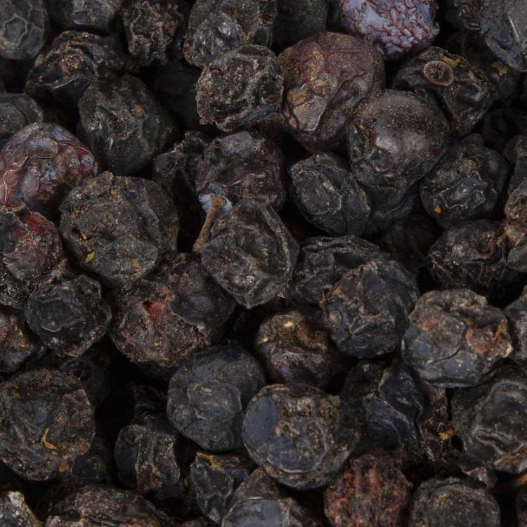 Wagner's Chrupiące owoce tarniny 150g od ParrotPlanet.pl