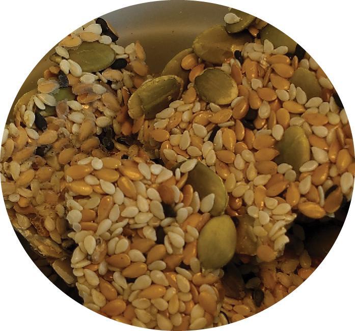 Top's Tesoro Parrot Treat - Original - Ekologiczny przysmak dla Papug 44g od ParrotPlanet.pl