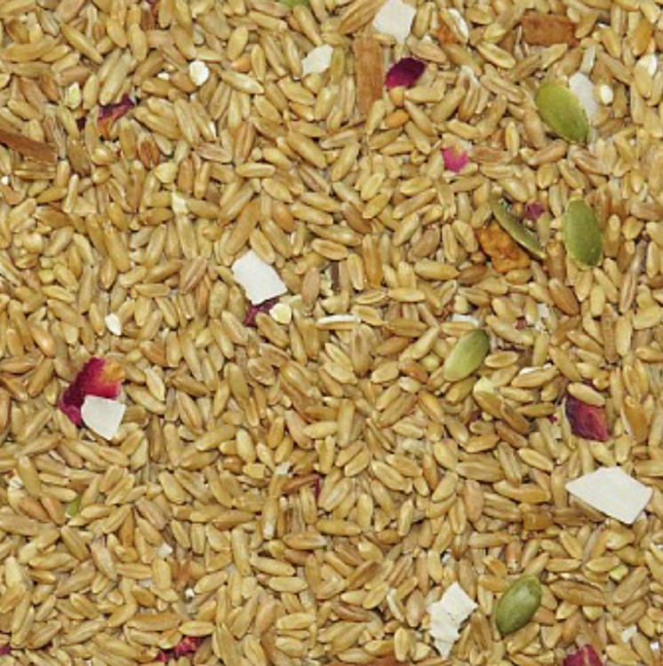 TOP's Organic Dream Mix Large Parrot Food - Organiczna mieszanka ziaren, orzechów, kwiatów i warzyw dla dużych papug 2,27kg od ParrotPlanet.pl