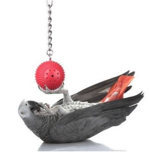 Interaktywna kula do nauki prostych dźwięków dla papug od ParrotPlanet.pl