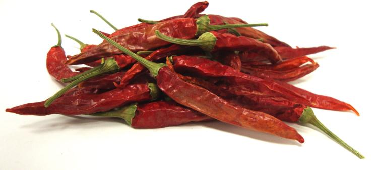 45046-chili-pepper-bird-teat.jpg