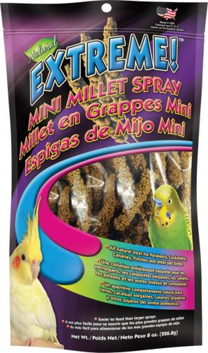 Extreme! Natural Mini Spray Millet - Przysmak klasy PREMIUM+ oryginalne proso dla mniejszych papug (nimfy, faliste, nierozłączki, kanarki, tropikalne) 226g od ParrotPlanet.pl