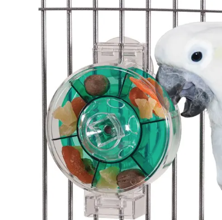 Zabawka Koło karmnik dla dużych i małych - Kreatywne i ciekawe posiłki każdego dnia  od ParrotPlanet.pl