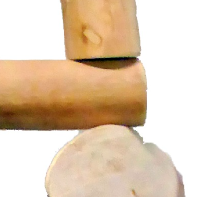 Tylko w górę! - naturalna, niezniszczalna drabinka z drzewa Java dla wszystkich papug2.png