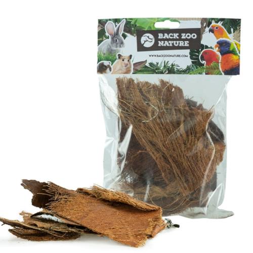back-zoo-nature-palm-bark (4).jpg