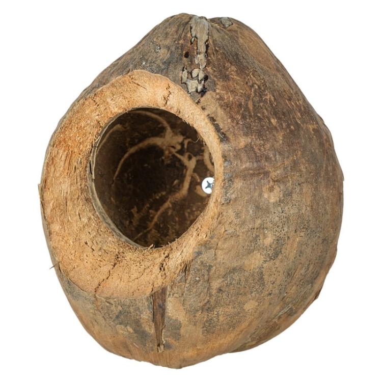 Kokosowa jaskinia - dla średnich i małych papug od ParrotPlanet.pl