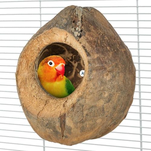 Kokosowa jaskinia - dla średnich i małych papug od ParrotPlanet.pl