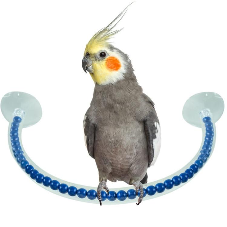 Żerdź pod prysznic M - dla średnich papug od ParrotPlanet.pl
