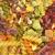 Wagner's Mexican Spicy Noodle Mix 40g - danie makaronowe dla wszystkich papug 40g od ParrotPlanet.pl