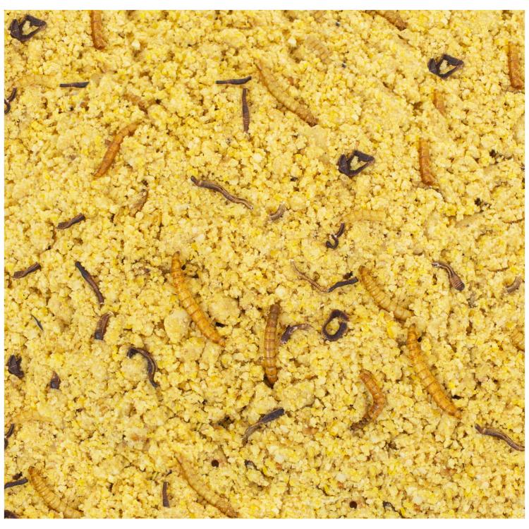 JR FARM Peanut Bar - baton orzechowy z dżdżownicami i mącznikami 2 sztuki 700g ParrotPlanet.pl Parrot Planet