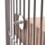 Stolik dla Papug XXL 33 x 40 x 7,5 cm  od ParrotPlanet.pl