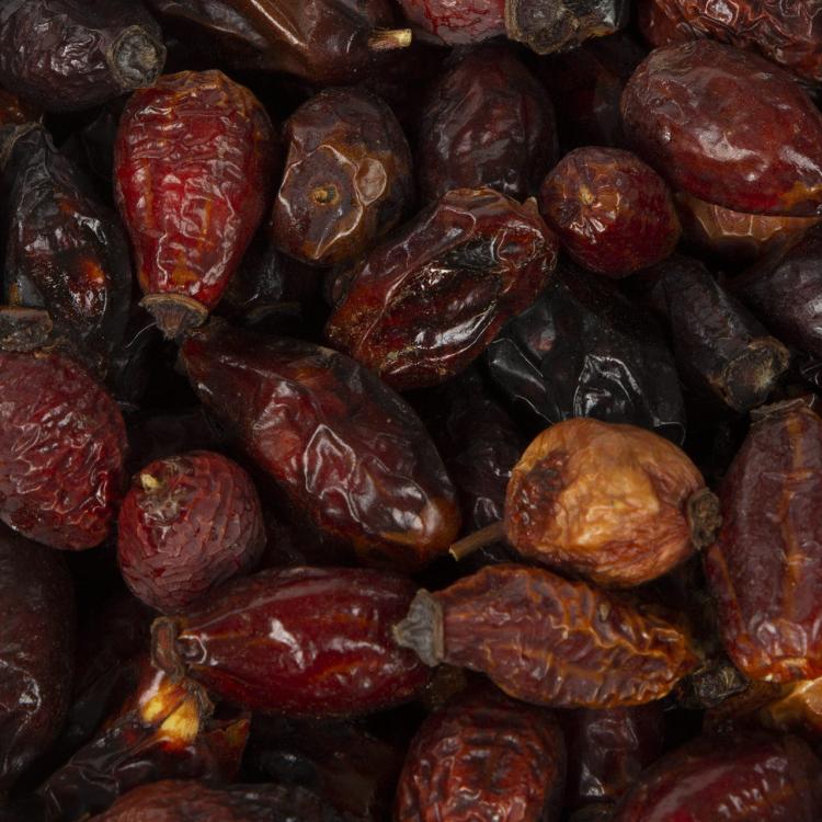 Wagner's owoce dzikiej róży dla wszystkich papug 150g od parrotplanet.pl