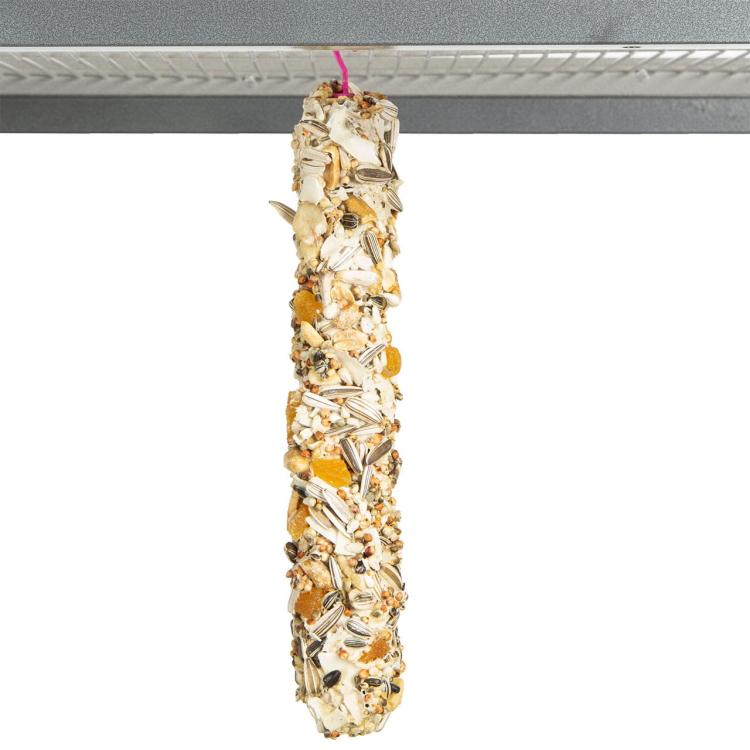 WAGNERS Kolby KoKosowa Rozkosz JUMBO XXL- kolba orzechowo-kokosowa 450g od ParrotPlanet.pl