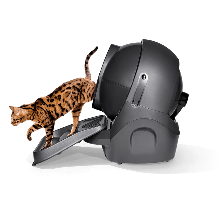 Schodki do Litter-Robot 3 Open Air Ramp od Parrotplanet.pl