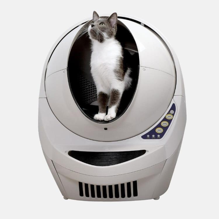 Litter Robot III automatyczna kuwata dla małych i dużych kotów.jpeg