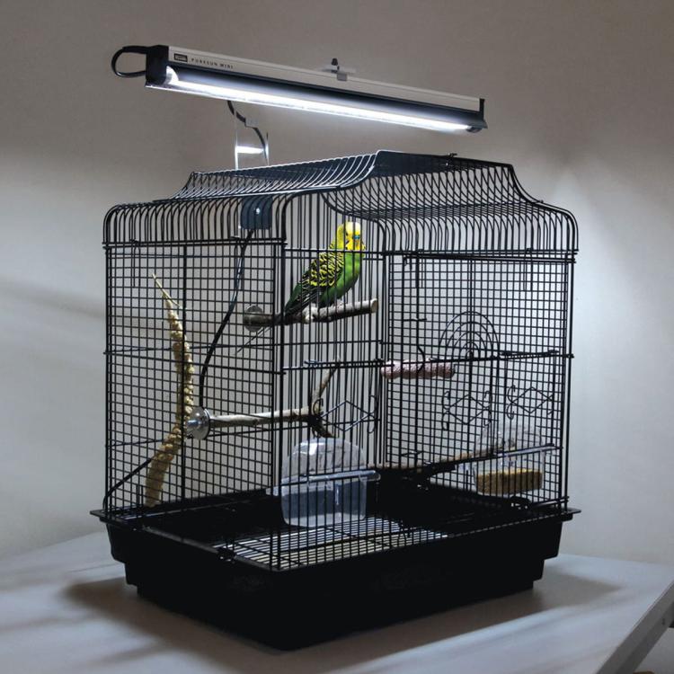 Arcadia Puresun Midi - Zestaw oświetleniowy - lampa- dla papug od ParrotPlanet.pl