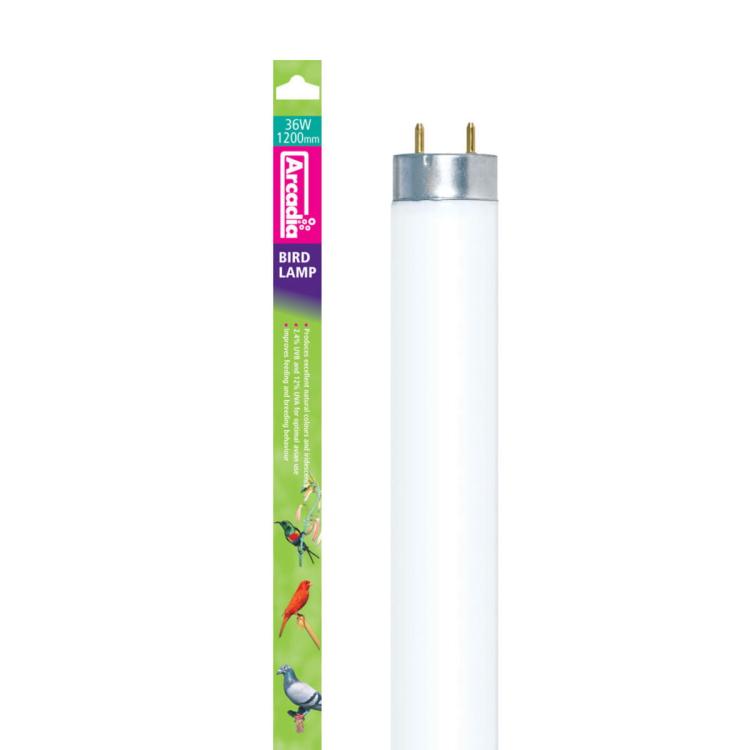Arcadia Bird Lamp T8 - 2.4% UVB + 12% UVA 120 cm , 36 Watt - lampa dla papug od ParrotPlanet.pl