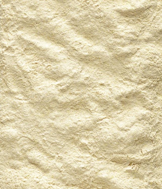 Versele Laga NutriBird A21 800g - pokarm do odchowu piskląt (21% białka) od parrotplanet.pl