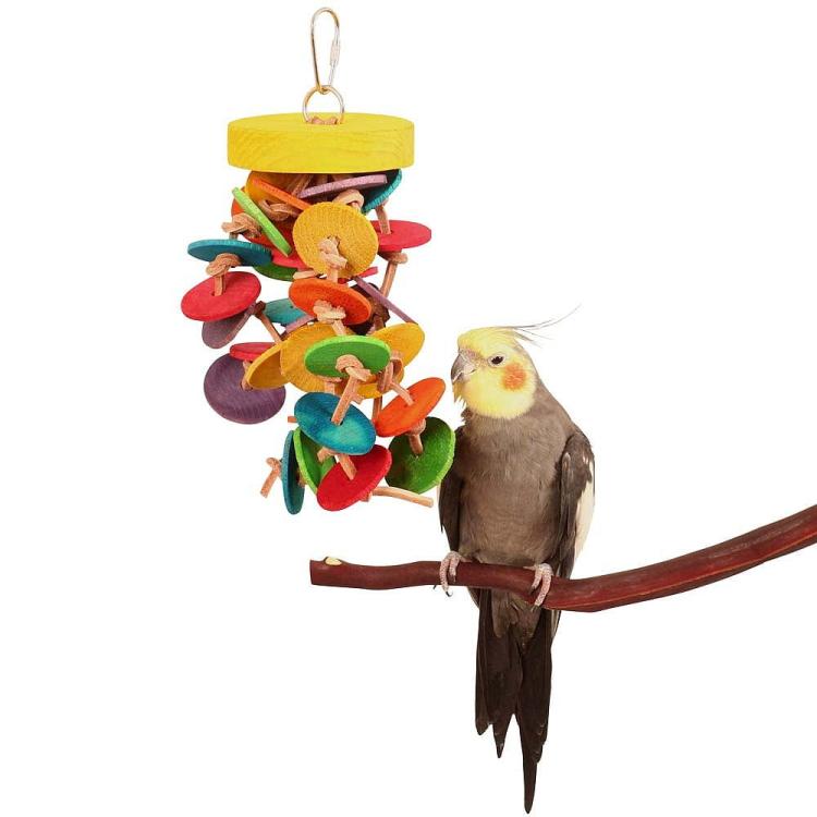 Dyski i węzły - Drewniana zabawka dla wszystkich papug od ParrotPlanet.pl