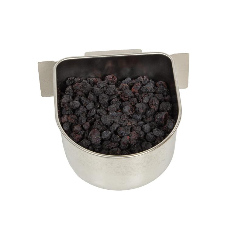 Wagner's Chrupiące owoce Jagody dla papug 150g od ParrotPlanet.pl