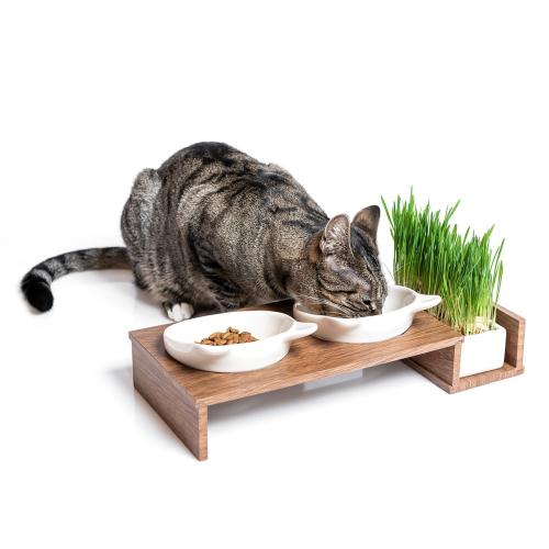 Miski dla kota Koci bar CanadianCat od ParrotPlanet.pl
