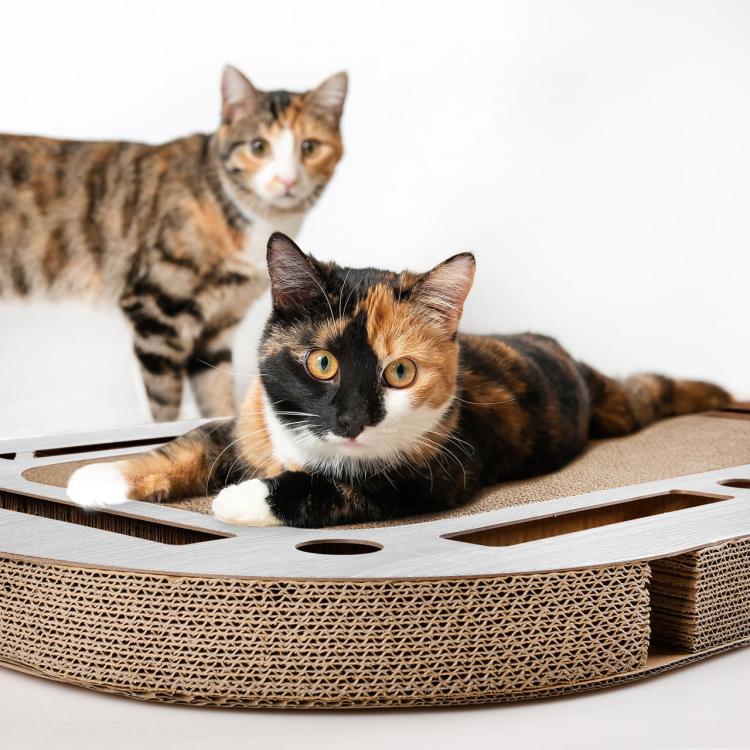 PlayPlate - CanadianCat - Plac zabaw dla kota z drapakiem - jasnoszary od ParrotPlanet.pl