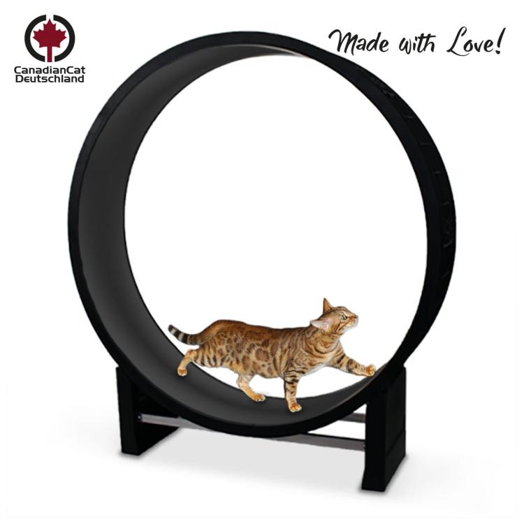 Bieżnia dla KOTA CanadianCat Cat in Motion czarna od ParrotPlanet.pl