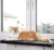 Legowisko na parapet CanadianCat dla kota od ParrotPlanet.pl