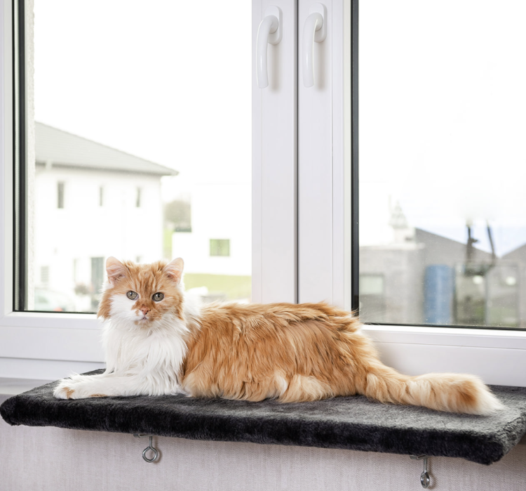 Legowisko na parapet CanadianCat dla kota od ParrotPlanet.pl