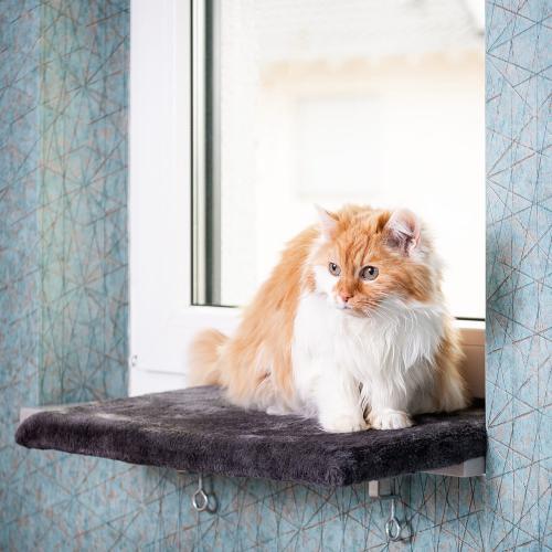 Legowisko na parapet Canadian Cat dla kota ŚREDNIE (M) od ParrotPlanet.pl