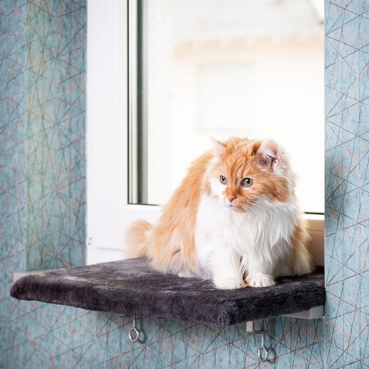 Legowisko na parapet Canadian Cat dla kota ŚREDNIE (M) od ParrotPlanet.pl