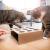 Zabawka dla KOTA Canadian Cat "Catch The Mouse" od ParrotPlanet.pl