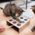 Zabawka dla KOTA Canadian Cat "Catch The Mouse" od ParrotPlanet.pl