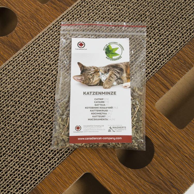Zabawka dla KOTA Canadian Cat PlayPlate z drapakiem od ParrotPlanet.pl