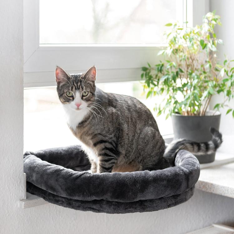 LOVESEAT | Legowisko na parapet dla kota | Canadian Cat | antracyt od ParrotPlanet.pl