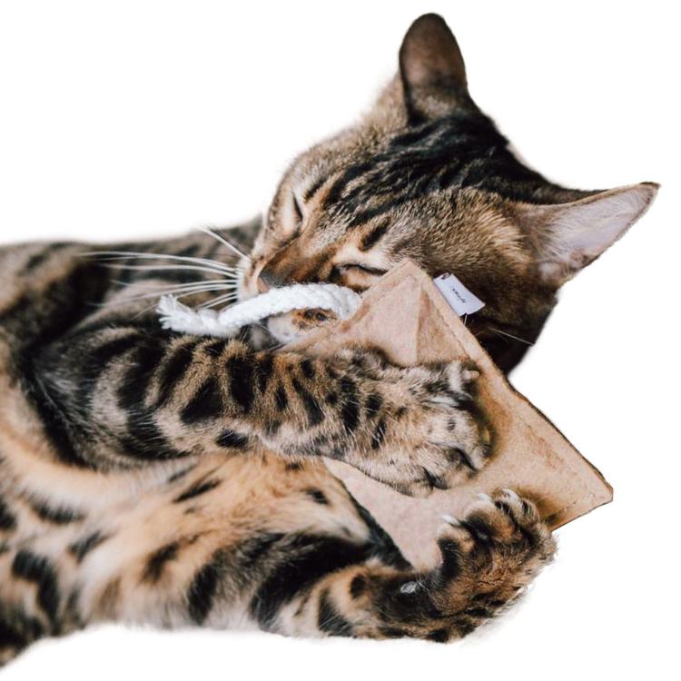 Poduszeczka do Przytulania dla kota| Canadian Cat | FELTY | beżowa | kocimiętka 5g od ParrotPlanet.pl