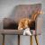 Poduszeczka PIRAMIDKA XL do Przytulania dla kota | Canadian Cat | W KRATKĘ | kocimiętka 11g od ParrotPlanet.pl