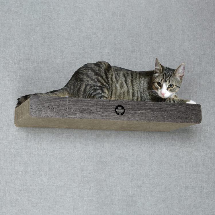 CLOUD | drapak naścienny ciemnoszary | Canadian Cat | 70 x 30 x 8 cm od ParrotPlanet.pl