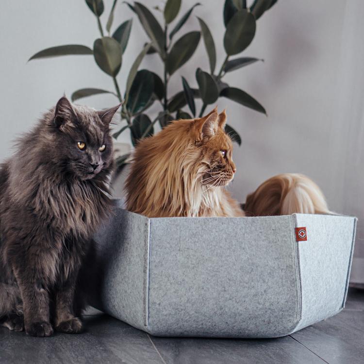 AVA | Legowisko Kosz dla kota z filcu | Canadian Cat | rozmiar L| jasnoszary od ParrotPlanet.pl
