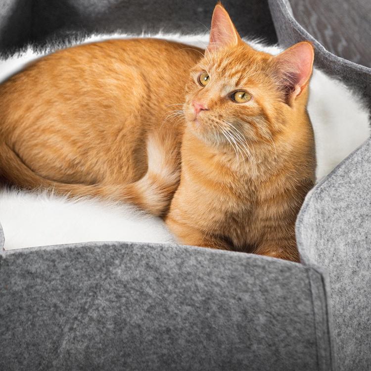 AVA | Legowisko Kosz dla kota z filcu | Canadian Cat | rozmiar L| jasnoszary od ParrotPlanet.pl