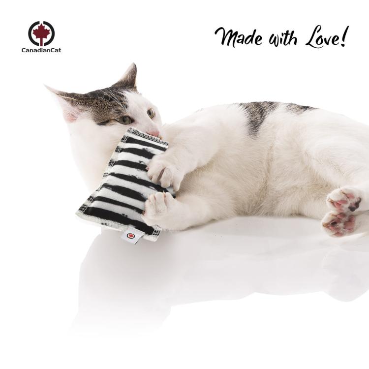 Poduszeczka do Przytulania dla kota | Canadian Cat | ZEBRA | Kocimiętka od ParrotPlanet.pl