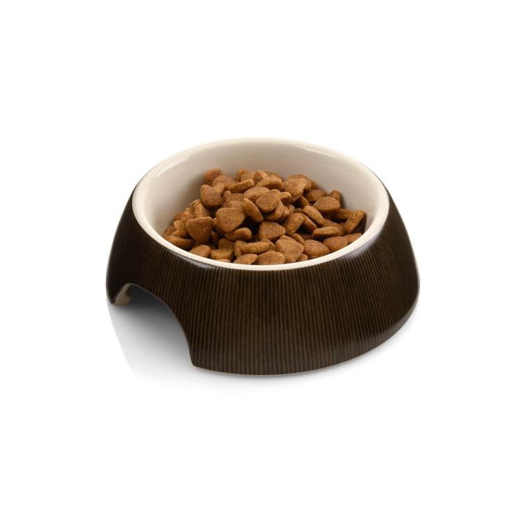 Miska ceramiczna dla kota - CanadianCat od ParrotPlanet.pl