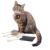 ZESTAW 4 Poduszeczek do Przytulania dla kota| Canadian Cat | FELTY |waleriana 5g od ParrotPlanet.pl