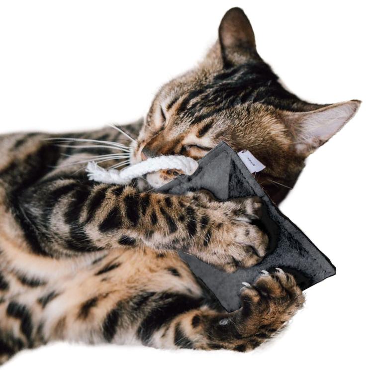 Poduszeczka do Przytulania dla kota| Canadian Cat | FELTY | ciemnoszary | waleriana 5g od ParrotPlanet.pl